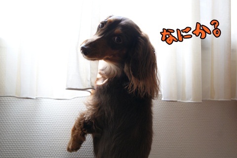 019_20120416022200.jpg