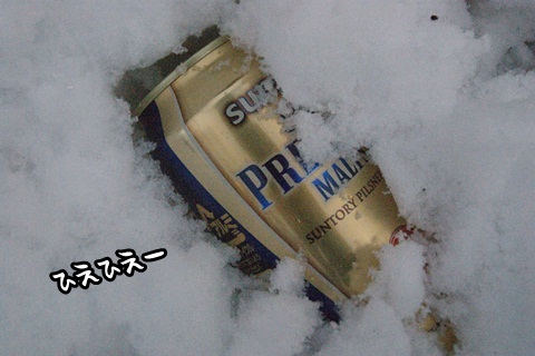 256.jpg