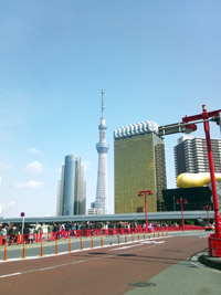 DSC_0125.jpg