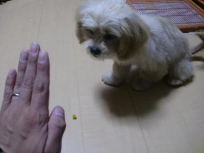 009_convert_20111129234733.jpg