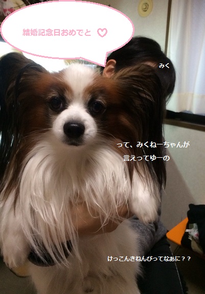 20131223224747.jpg
