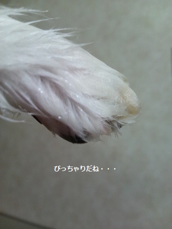 DSC_1266.jpg