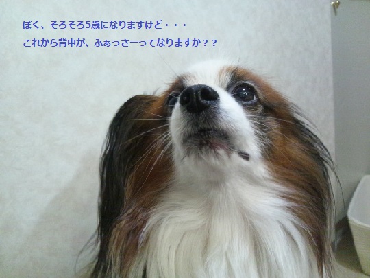 DSC_1293.jpg