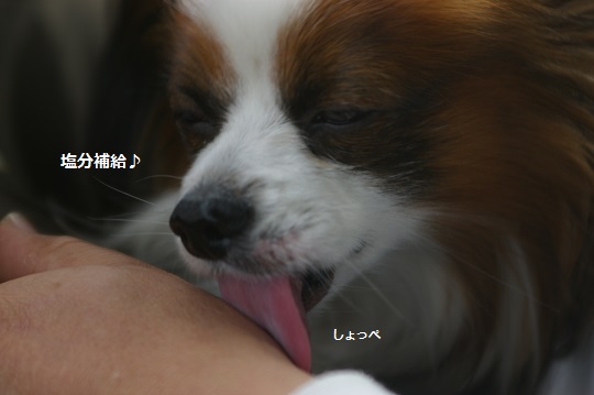 IMGP1668.jpg