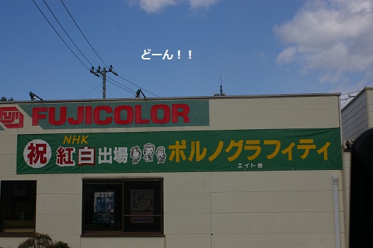 IMGP1695.jpg