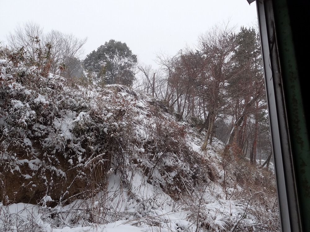 DSC03166.jpg