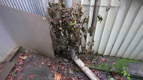 IMG_0002_20111015183149.jpg