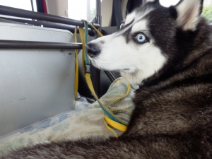 2013071401.jpg