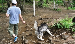 2013071403.jpg