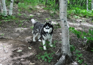 2013071405.jpg