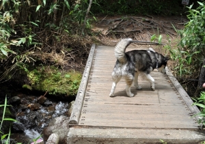 2013071407.jpg