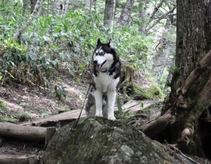 2013071408.jpg