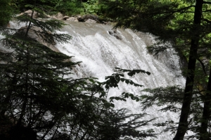 2013071409.jpg