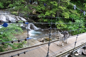 2013071410.jpg