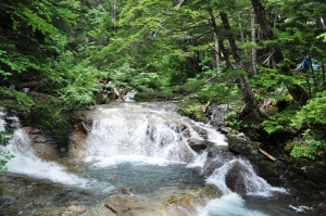 2013071411.jpg