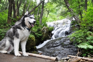 2013071412.jpg