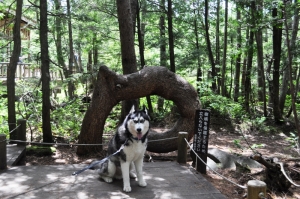 2013071415.jpg