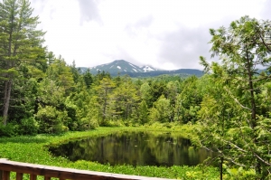 2013071416.jpg