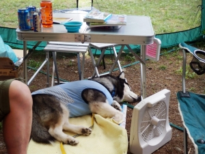 2013081102.jpg