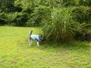2013081103.jpg