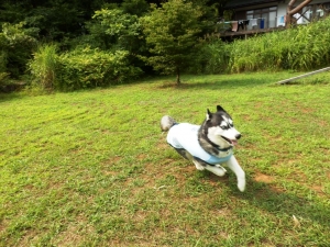 2013081104.jpg