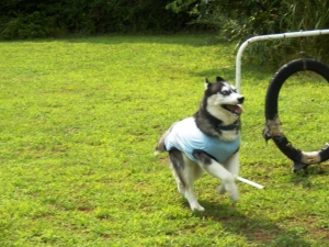 2013081105.jpg