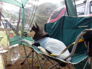 2013081106.jpg