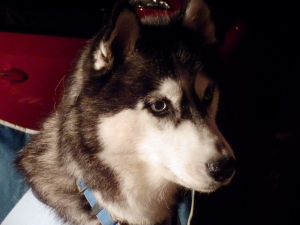 2013081107.jpg