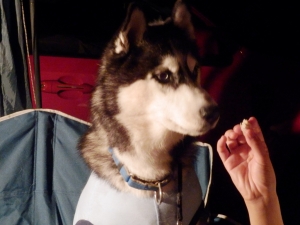 2013081108.jpg