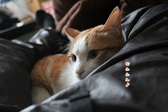 2014021002