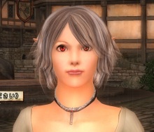 TES4備忘録