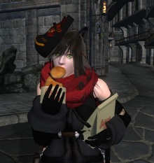 TES4備忘録