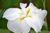 ___20130625132623.jpg