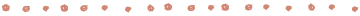 line_5.gif