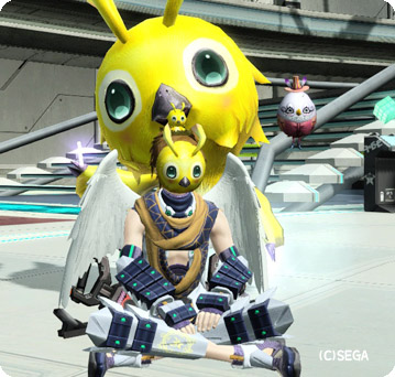 pso20130613_074437_009.jpg