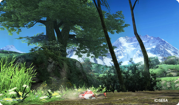 pso20130623_140049_205.jpg
