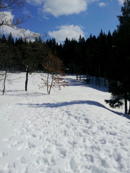 20140224 081121
