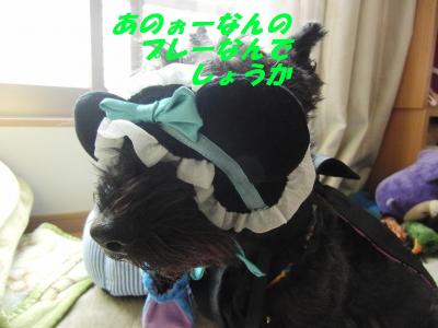 o9.jpg