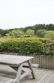 ベンチ