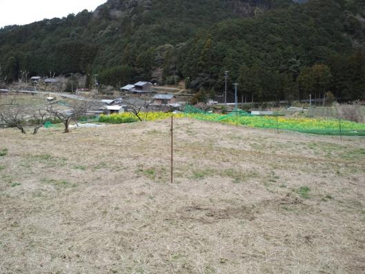 CA3J0004_20120320210840.jpg
