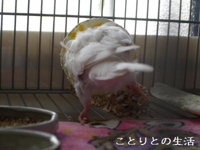 201312081.jpg