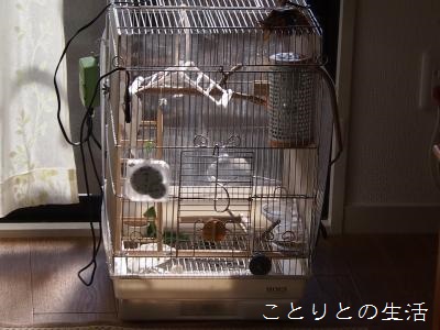 201312261.jpg