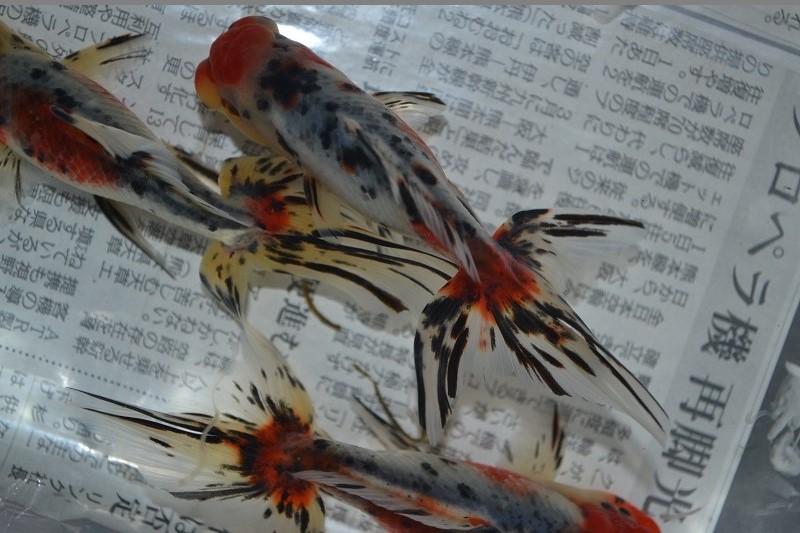 201311304.jpg
