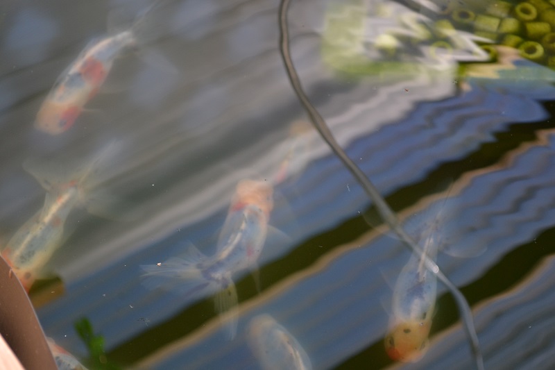201312045.jpg