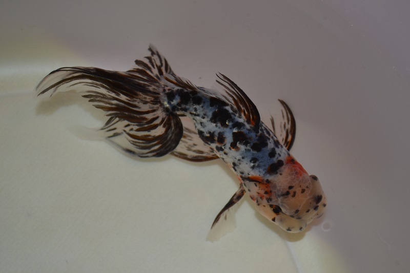 201312052.jpg