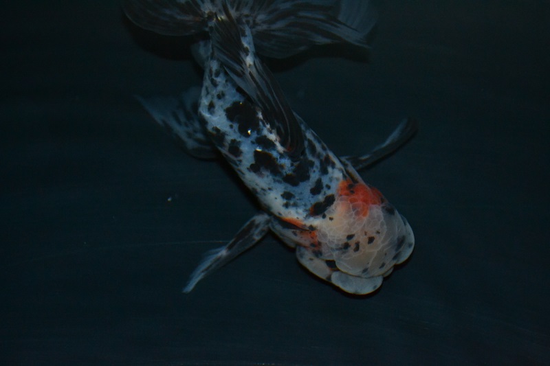 2013120713.jpg