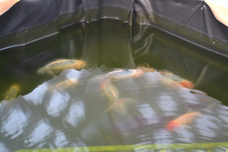 201312236.jpg
