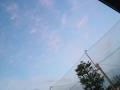 120130_063401sw.jpg