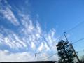 120130_073301sw.jpg