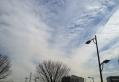 120213_124601e.jpg